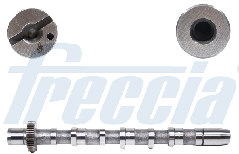 Распредвал Freccia CM052189